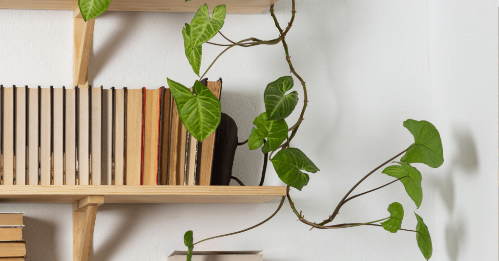 Quantos são suficientes?: Combatendo a idolatria e o ego – Especial Dia do Livro