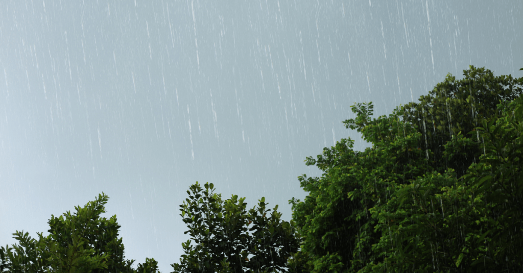 Tem chuva em que todo mundo vira criança