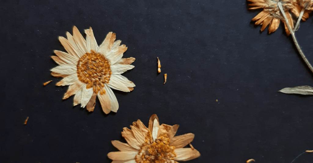 Por que está tão triste, oh minha’alma?