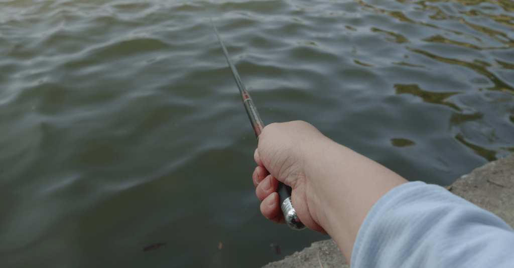 A arte de pescar pensamentos